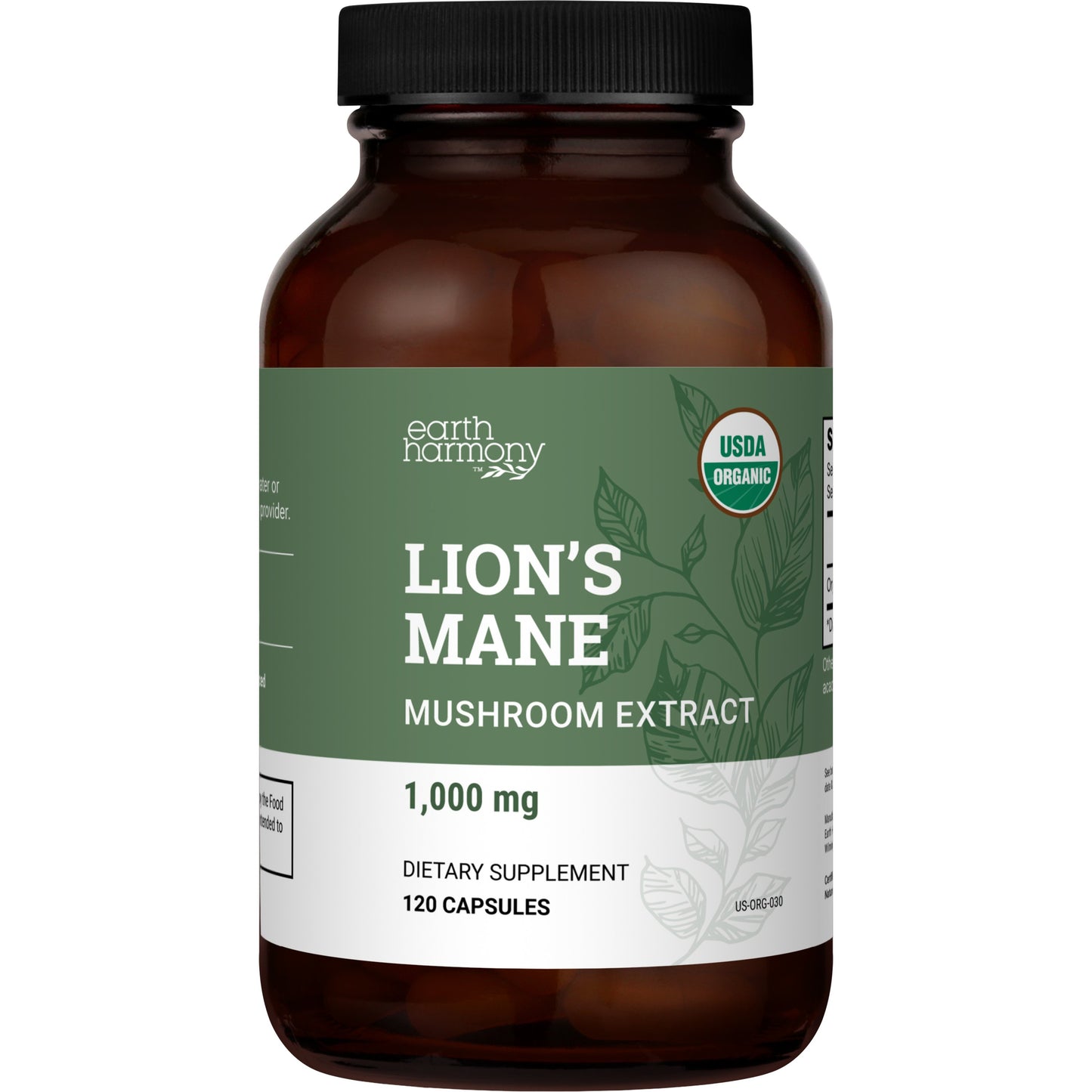 Lion’s Mane Mushroom: Antioxidant Enhancing Mental Clarity, Memory, & Focus