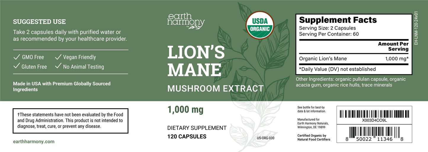 Lion’s Mane Mushroom: Antioxidant Enhancing Mental Clarity, Memory, & Focus