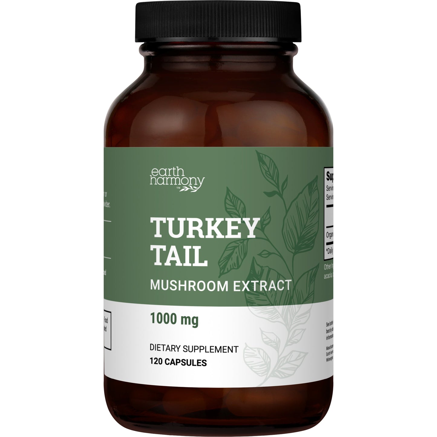 Turkey Tail: Mushroom Extract, Antioxidant, Boost Immune Function, Fights Free Radicals, & Promotes Healthy Gut Microbiome