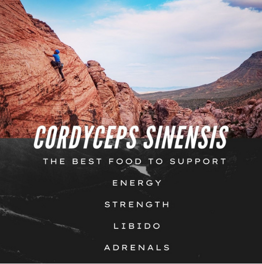 Cordyceps Extract Capsules for Energy, Endurance & Vitality