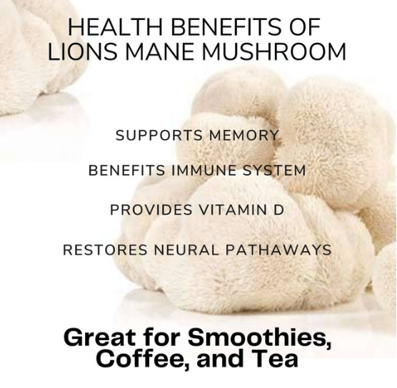 Organic Lion’s Mane Mushroom Extract Powder for Focus & Brain Support