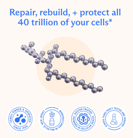 BodyBio PC Phosphatidylcholine (Softgels) | Cellular, Brain, Liver & Healthy Aging Support