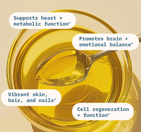 BodyBio Balance Oil (Omega 6 + 3) | Essential Fatty Acid Supplement