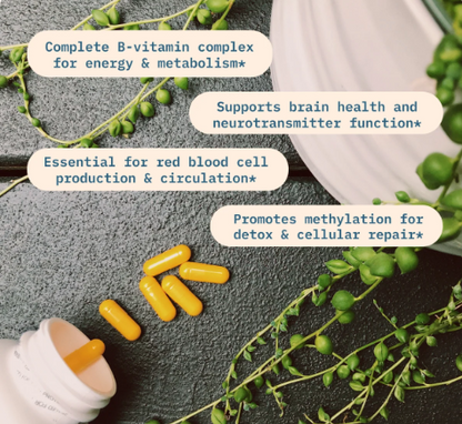 BodyBio Vitamin B+ | High-Potency B-Complex for Energy & Metabolism